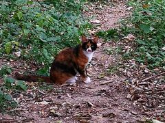 -国家植物园南园