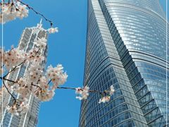 -上海中心大厦