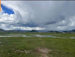 -纳帕海依拉草原