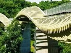 -武吉知马自然保护区