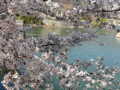 -樱花山风景区