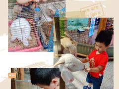 -上海大自然野生昆虫馆(东方明珠·爬宠昆虫探索中心)