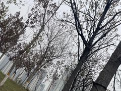 -波浪谷