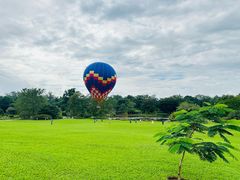 -中国科学院西双版纳热带植物园