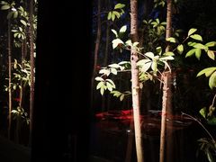 -花马天堂云南餐厅 Lost Heaven(高邮路店)