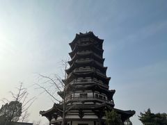 -洋湖国家湿地公园
