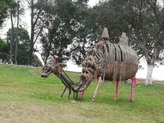-松山湖梦幻百花洲