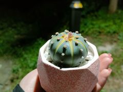 -普陀山风景名胜区-法雨禅寺