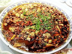 -新概念来凤鱼(璧山店)