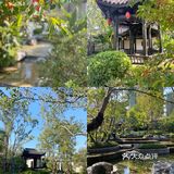 南宁遛娃｜这个周末一起去灵龟山公园放风筝吧！🪁