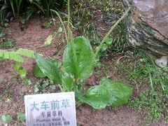 android_upload_pic-广州神农草堂中医药博物馆