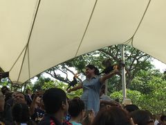 -新加坡飞禽公园