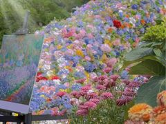 -上海共青森林公园