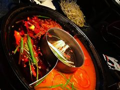 -渝涯重庆豆花老火锅(中赢国际店)
