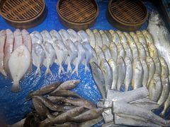 -羊汤研究所(茶苑海口路店)