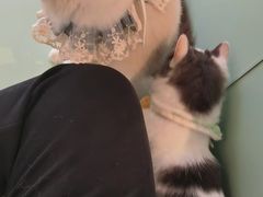 -怪兽屋·羊驼·猫咖·狗咖(俊华广场店)