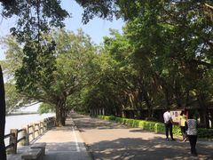 -大湾区中央湿地公园