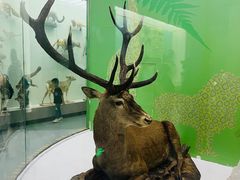 -国家自然博物馆