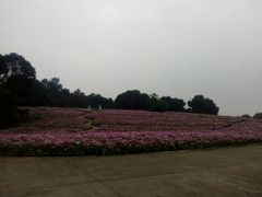 -保利石象湖景区