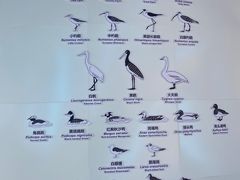 -大连市规划展示中心
