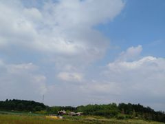 -北京麋鹿生态实验中心