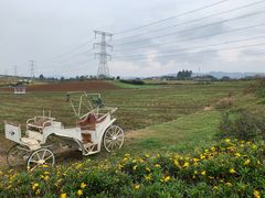 -紫颐香薰山谷景区