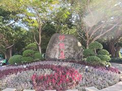 -野狸岛