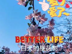 -新江湾城公园