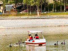 -水上乐园·欢乐世界