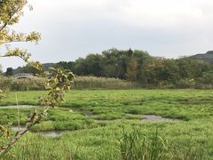 -长兴太湖图影湿地文化园