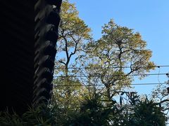 -曲廊院(东四十一条店)