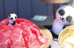 9M Wagyu Beef
