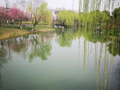 -圩墩遗址公园