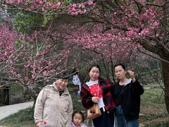 -瑞安圣井山景区