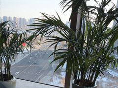 -皇朝万鑫自助餐厅