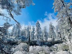 -瓦屋山景区