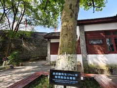 -蒋经国旧居