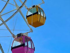 -巨鹏飞梦幻海岸