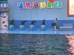 -蓬莱欧乐堡海洋极地世界