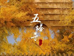 -北京石刻艺术博物馆