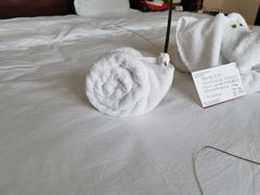 -三亚亚龙湾雅高铂尔曼别墅度假酒店