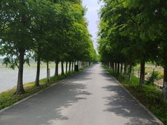 -嘉北郊野公园