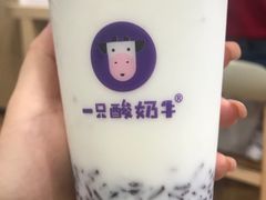 -一只酸奶牛(八一路店)