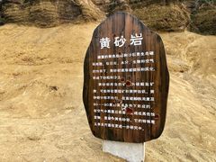 -五龙城郊森林公园