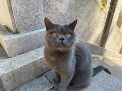 -湛山寺