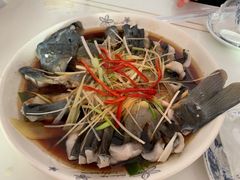 清蒸狗鱼-煲来饱去冷水鱼