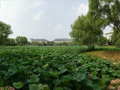 -东南大学(九龙湖校区)