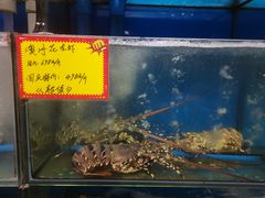 -蚝专家(北滘店)
