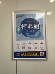 -大麦微针植发丨全国连锁