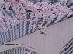 -龙美术馆(西岸馆)